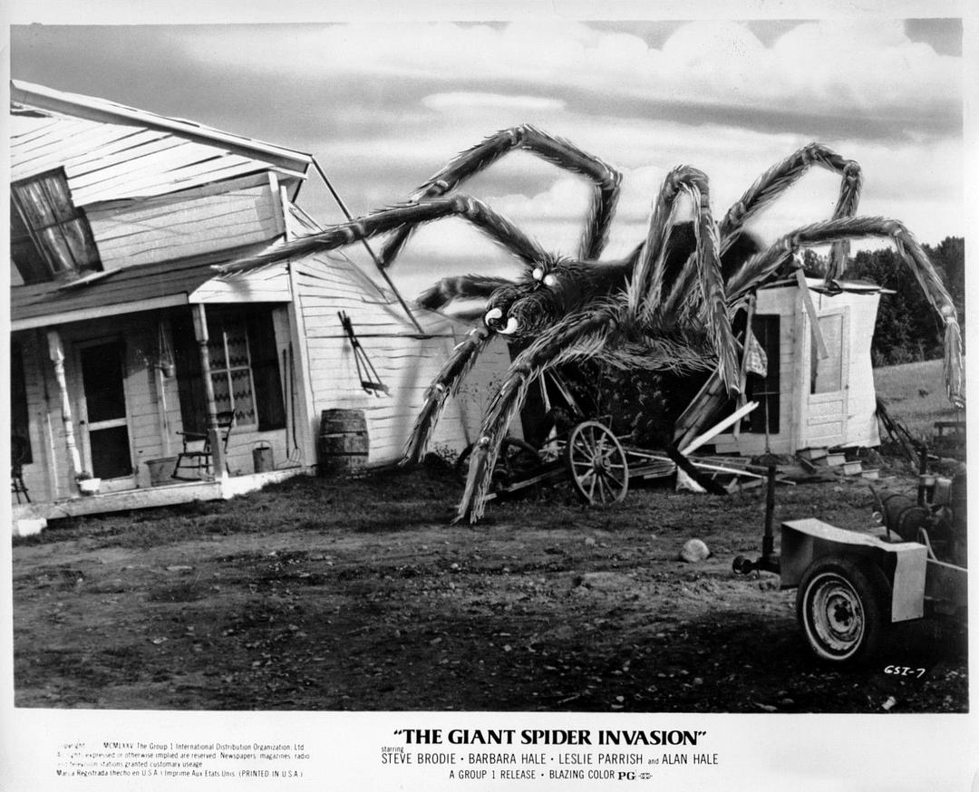 巨型蜘蛛大进攻The Giant Spider Invasion(1975)插图2%4K电影下载_3D影视资源_杜比视界迅雷下载