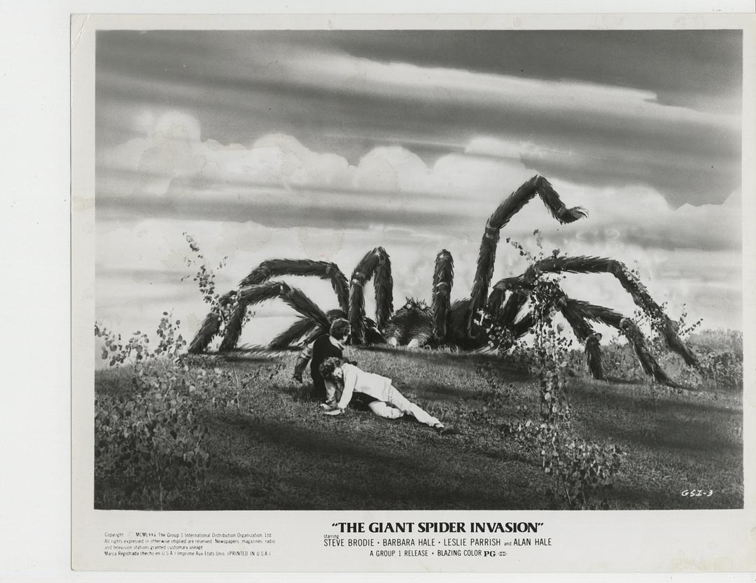 巨型蜘蛛大进攻The Giant Spider Invasion(1975)插图1%4K电影下载_3D影视资源_杜比视界迅雷下载