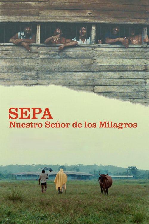 Sepa: Nuestro Señor de los milagros(1986)插图%4K电影下载_3D影视资源_杜比视界迅雷下载