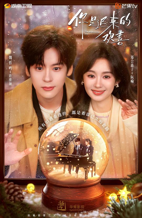 你是迟来的欢喜(2026)插图%4K电影下载_3D影视资源_杜比视界迅雷下载