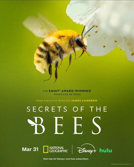 蜜蜂的秘密Secrets of the Bees(2026)插图%4K电影下载_3D影视资源_杜比视界迅雷下载